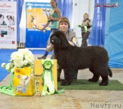 Превью фото № 150651
