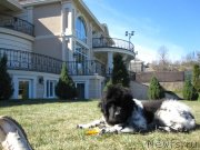 Превью фото № 150653