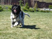 Превью фото № 150658