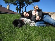 Превью фото № 150659