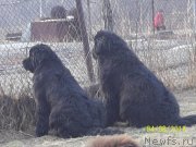 Превью фото № 150673