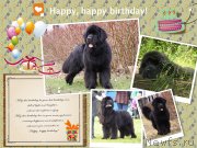 Превью фото № 150674