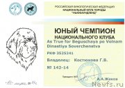 Превью фото № 150690