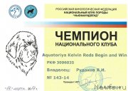 Превью фото № 150691