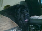 Превью фото № 150696