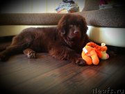 Превью фото № 150697