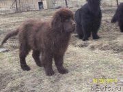 Превью фото № 150710