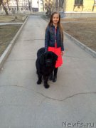 Превью фото № 150775