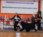 Превью фото № 150896