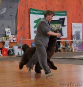 Превью фото № 150899