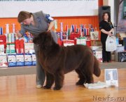 Превью фото № 150900