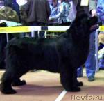 Превью фото № 151