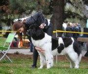 Превью фото № 151017