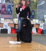 Превью фото № 151059