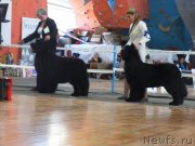 Превью фото № 151068