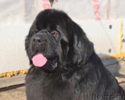 Превью фото № 151080