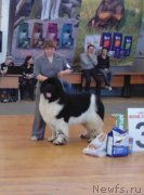 Превью фото № 151082