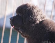 Превью фото № 151091