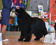 Превью фото № 151104