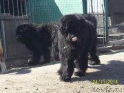 Превью фото № 151113