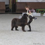 Превью фото № 151139