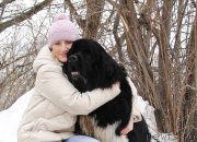 Превью фото № 151147