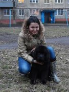 Превью фото № 151172