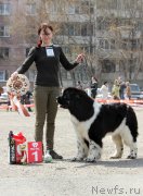 Превью фото № 151479