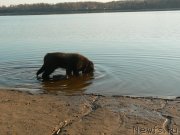 Превью фото № 151594