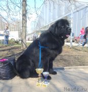 Превью фото № 151601