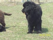 Превью фото № 151610