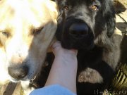 Превью фото № 151612