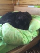 Превью фото № 151613