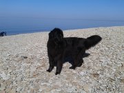 Превью фото № 151618