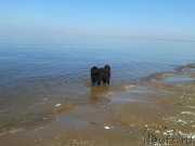 Превью фото № 151620