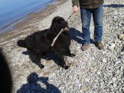 Превью фото № 151621