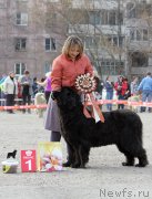 Превью фото № 151635