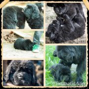 Превью фото № 151636