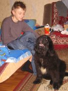 Превью фото № 151697