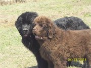 Превью фото № 151714