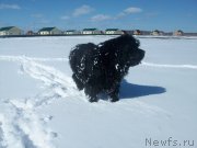 Превью фото № 151755