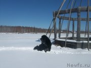 Превью фото № 151756