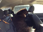 Превью фото № 151794