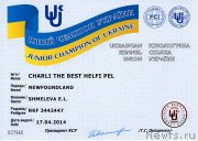 Превью фото № 151797