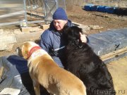 Превью фото № 151805