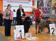 Превью фото № 151830