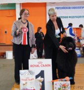 Превью фото № 151831