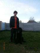 Превью фото № 151903