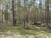 Превью фото № 151957