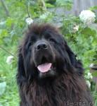 Превью фото № 152